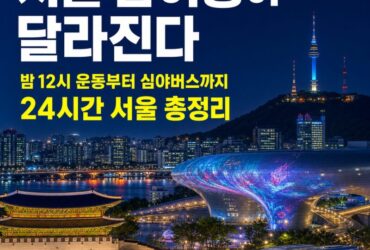 서울 밤여행이 달라진다｜밤 12시 운동하고 심야버스로 DDP·남산·광화문까지…‘24시간 서울’ 총정리