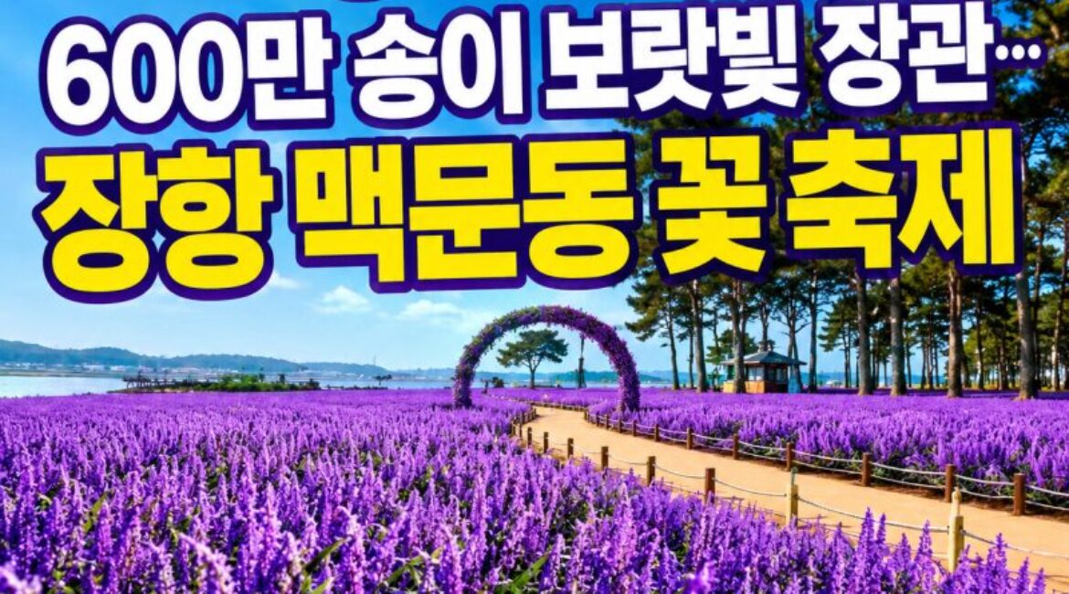 딱 3일 무료! 600만 송이 보랏빛 장관…장항 맥문동 꽃 축제, 무료입장 혜택까지