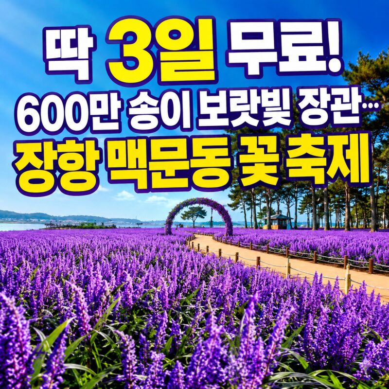 딱 3일 무료! 600만 송이 보랏빛 장관…장항 맥문동 꽃 축제, 무료입장 혜택까지
