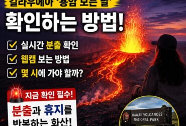 하와이 갔는데 용암 못 보고 온다고? 킬라우에아 ‘용암 보는 날’ 확인하는 방법