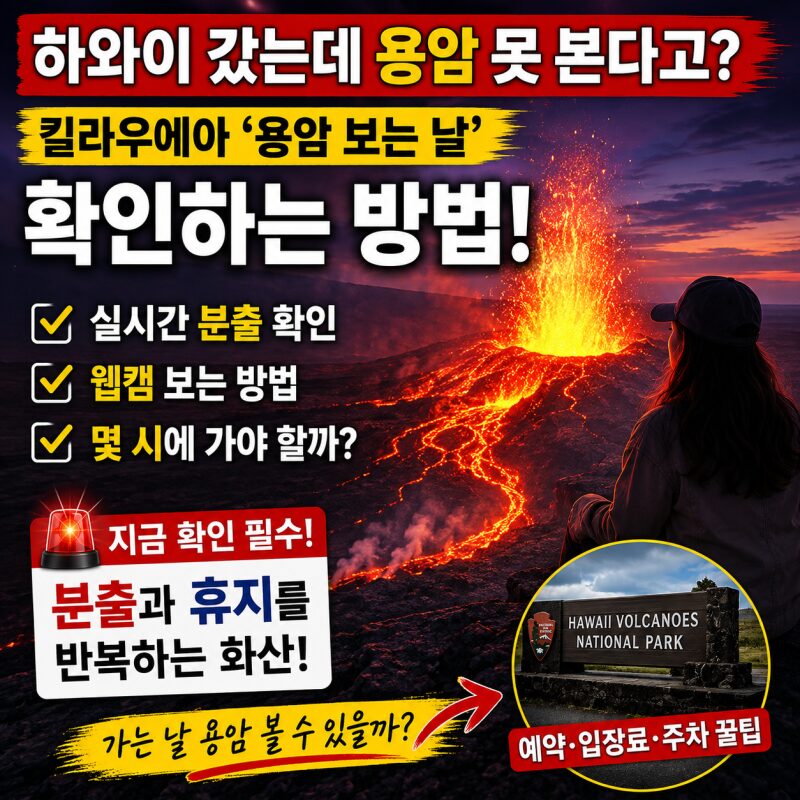 하와이 갔는데 용암 못 보고 온다고? 킬라우에아 ‘용암 보는 날’ 확인하는 방법