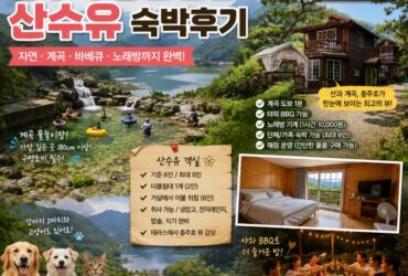 친구 8명이 떠난 충주호 여행｜주봉산펜션 ‘산수유’ 숙박 후기…계곡 물놀이부터 BBQ·노래방까지