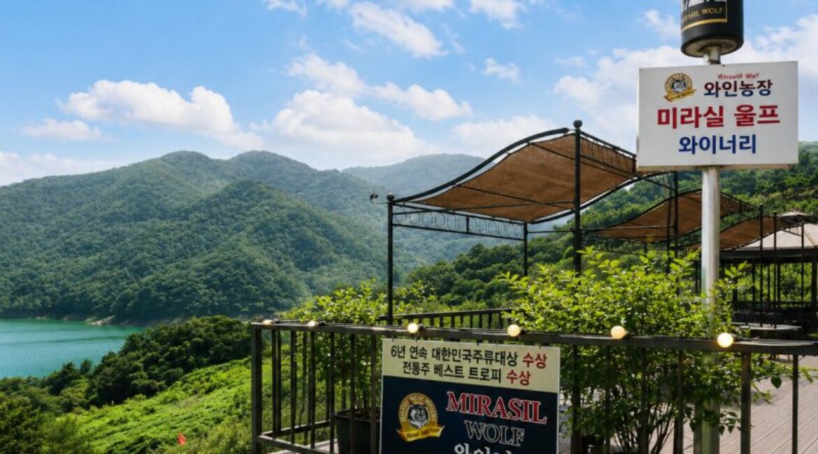 충주호를 내려다보며 즐기는 한국 와인｜미라실 울프 와이너리 직접 다녀온 후기