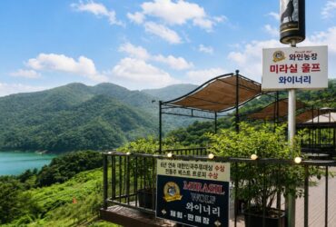 충주호를 내려다보며 즐기는 한국 와인｜미라실 울프 와이너리 직접 다녀온 후기