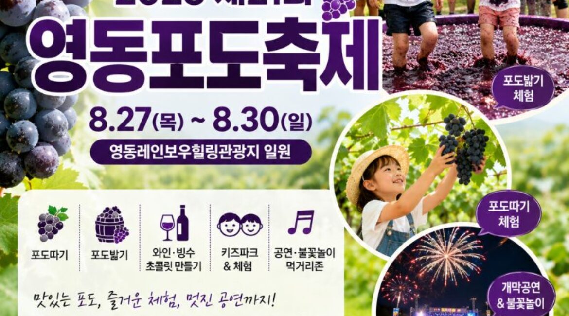 오늘 개막! 2026 영동포도축제 총정리｜포도따기·포도밟기·불꽃놀이까지