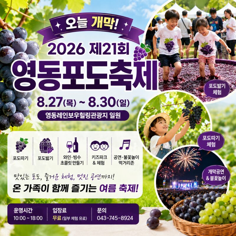 오늘 개막! 2026 영동포도축제 총정리｜포도따기·포도밟기·불꽃놀이까지