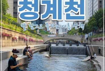 서울 한복판에서 발 담그고 쉬어가는 곳, 여름 청계천 나들이