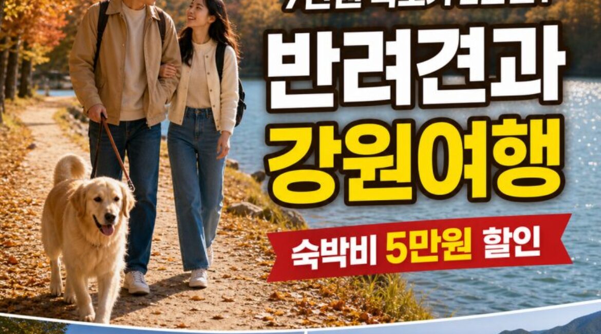 7만원 숙소가 2만원? 반려견과 강원여행 가면 숙박비 5만원 할인｜춘천·속초 1박2일 코스