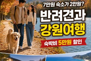 7만원 숙소가 2만원? 반려견과 강원여행 가면 숙박비 5만원 할인｜춘천·속초 1박2일 코스