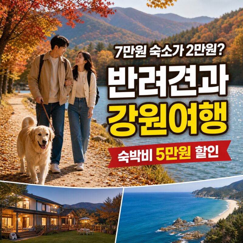 7만원 숙소가 2만원? 반려견과 강원여행 가면 숙박비 5만원 할인｜춘천·속초 1박2일 코스