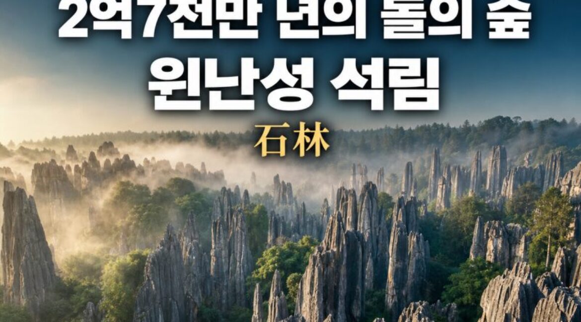 중국 경이 18｜윈난성 석림(石林) — 2억7천만 년이 만든 ‘돌의 숲’, 교통·주변 볼거리·2박3일 일정 총정리