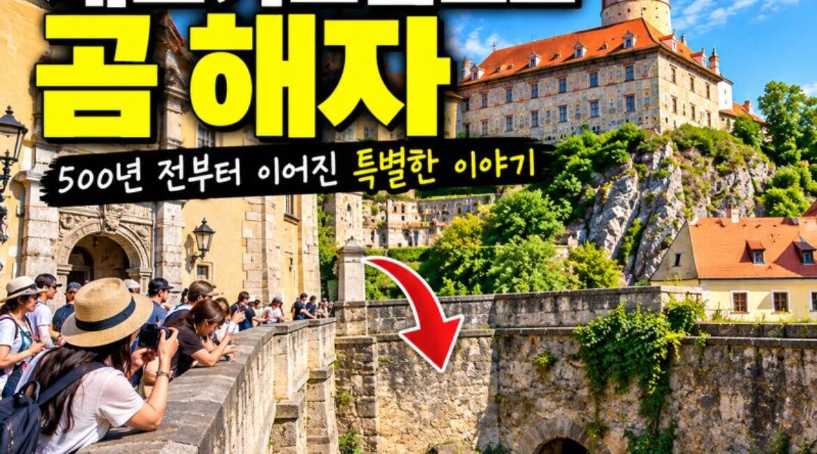 체스키크롬로프 성에 진짜 곰이 산다고?｜성 입구 곰 해자에 숨겨진 이야기