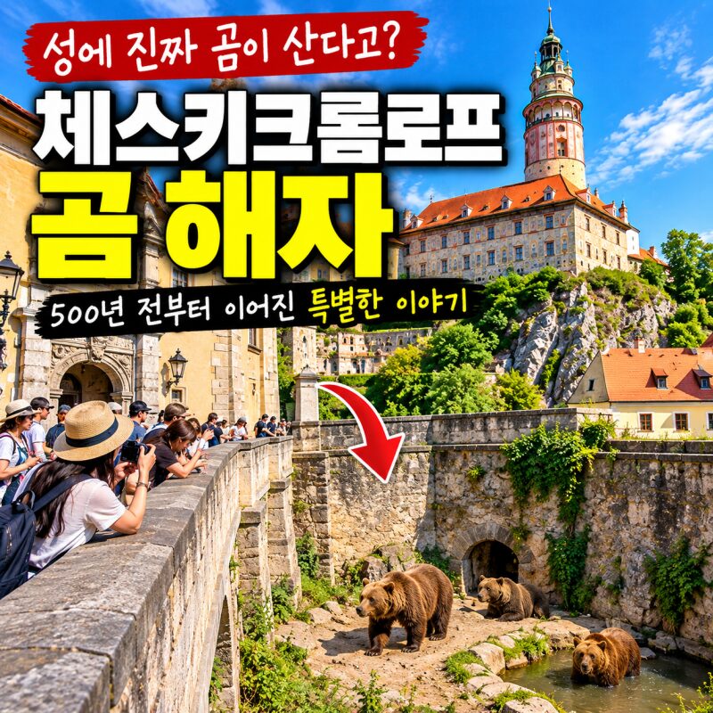 체스키크롬로프 성에 진짜 곰이 산다고?｜성 입구 곰 해자에 숨겨진 이야기
