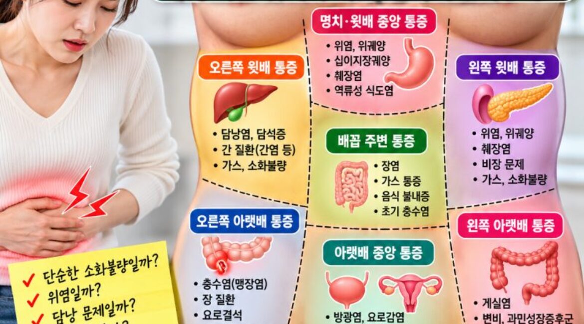 배가 아픈 위치로 알 수 있는 질환은? 복통 위치별 원인 총정리