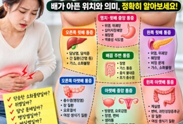 배가 아픈 위치로 알 수 있는 질환은? 복통 위치별 원인 총정리