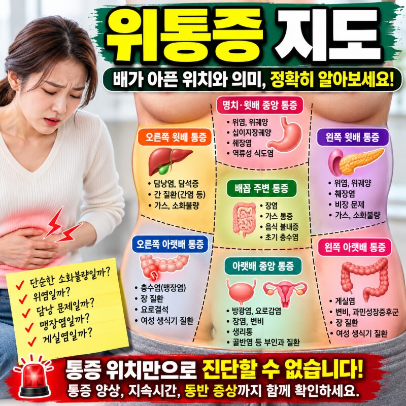 배가 아픈 위치로 알 수 있는 질환은? 복통 위치별 원인 총정리