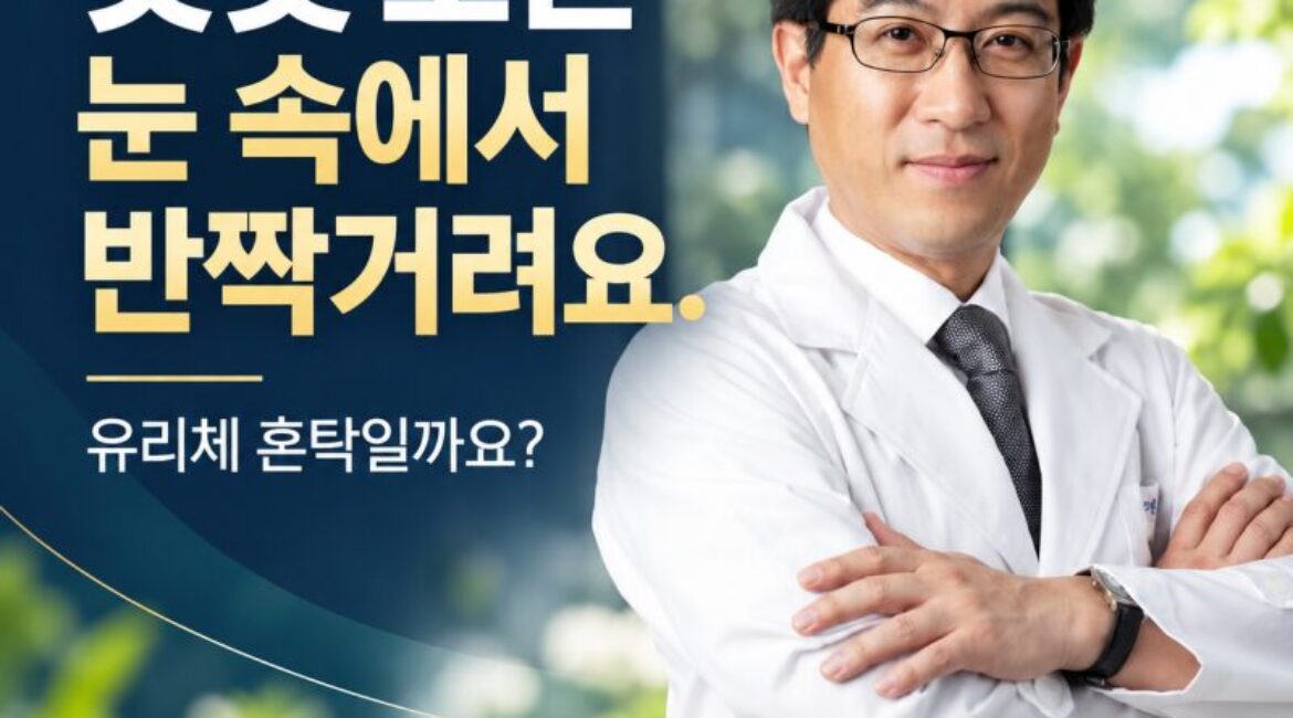 "햇빛 보면 눈 속에서 반짝거려요" 유리체 혼탁일까요