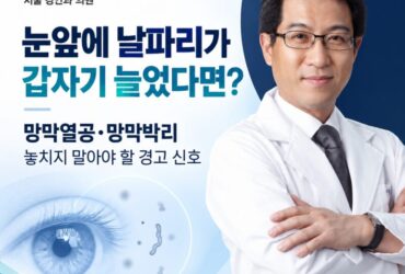 눈앞에 날파리 갑자기 늘었다면? 20~50대도 많은 ‘망막박리’ 초기증상 꼭 확인하세요