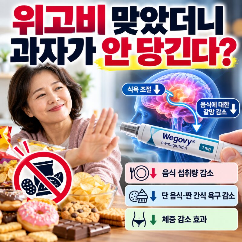 위고비 맞으면 정말 과자가 당기지 않을까? GLP-1이 바꾸는 식욕과 식탁