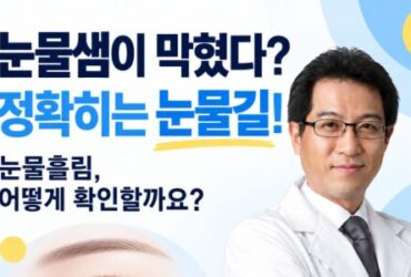 프라하↔체스키크룸로프 가는 법 총정리