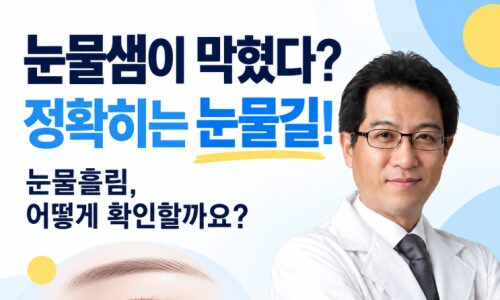 프라하↔체스키크룸로프 가는 법 총정리