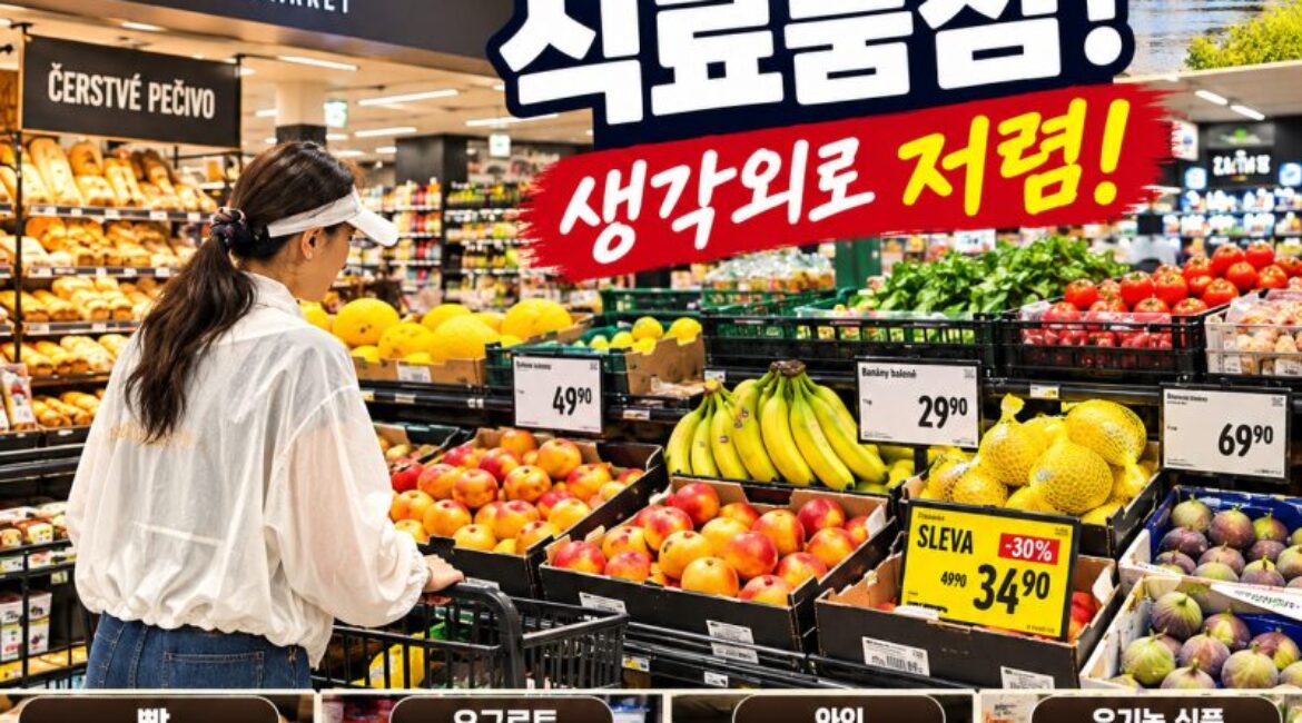 프라하 식료품점 가보니 생각보다 저렴! Albert 슈퍼마켓 장보기·과일·빵·와인 물가 직접 확인