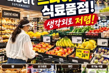 프라하 식료품점 가보니 생각보다 저렴! Albert 슈퍼마켓 장보기·과일·빵·와인 물가 직접 확인