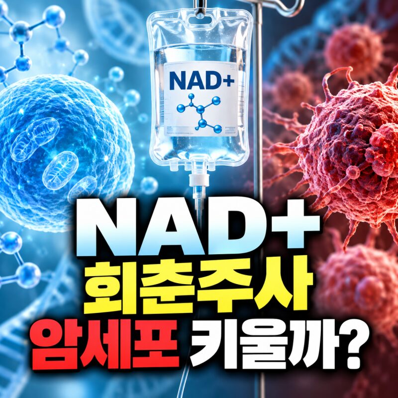 1회 수백만원 ‘회춘주사’ NAD+…정말 젊어질까, 암세포 키운다는 말은 사실일까