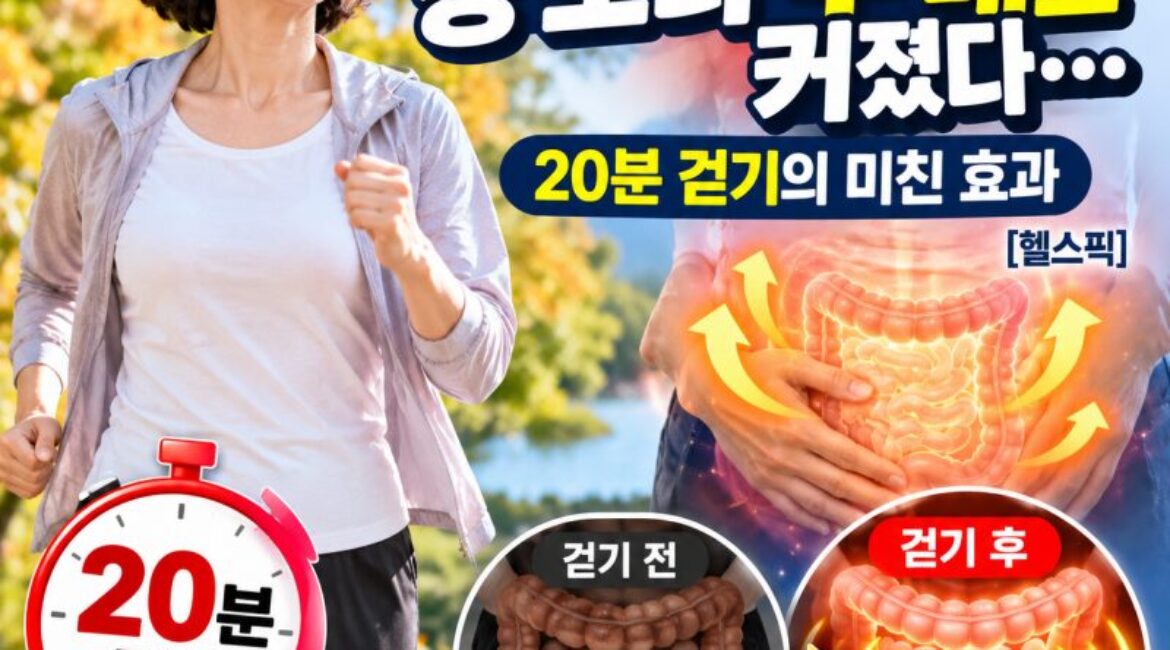 20분만 걸어도 장이 깨어난다? 걷기 직후 장음이 크게 증가한 이유