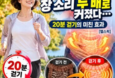 20분만 걸어도 장이 깨어난다? 걷기 직후 장음이 크게 증가한 이유