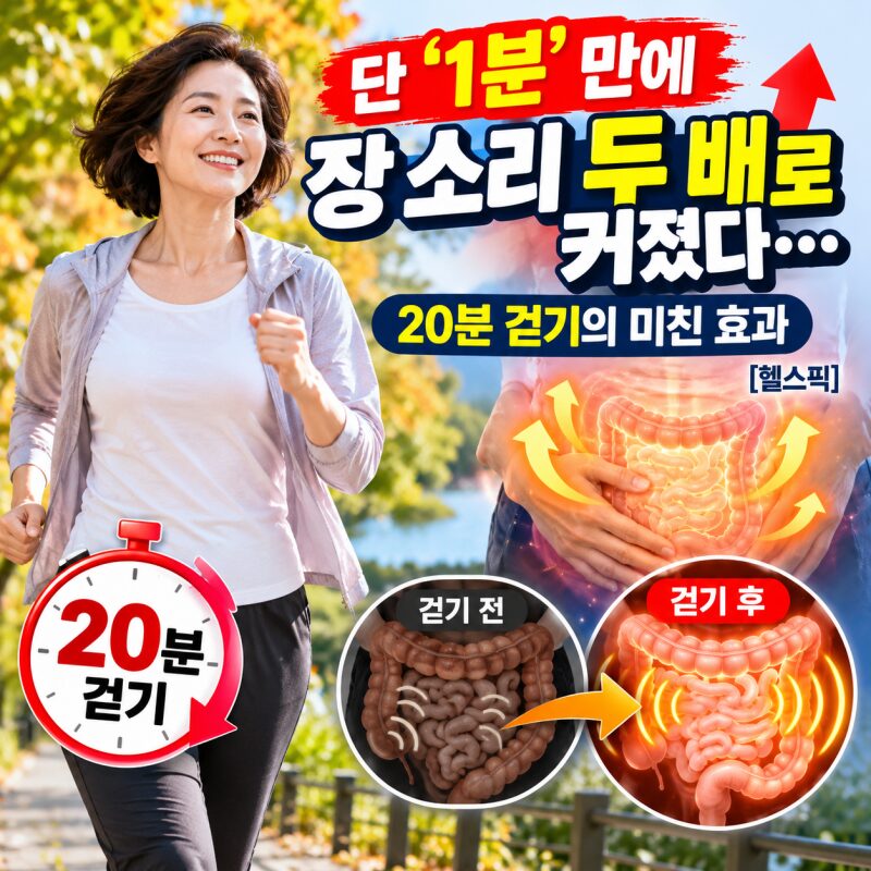 20분만 걸어도 장이 깨어난다? 걷기 직후 장음이 크게 증가한 이유