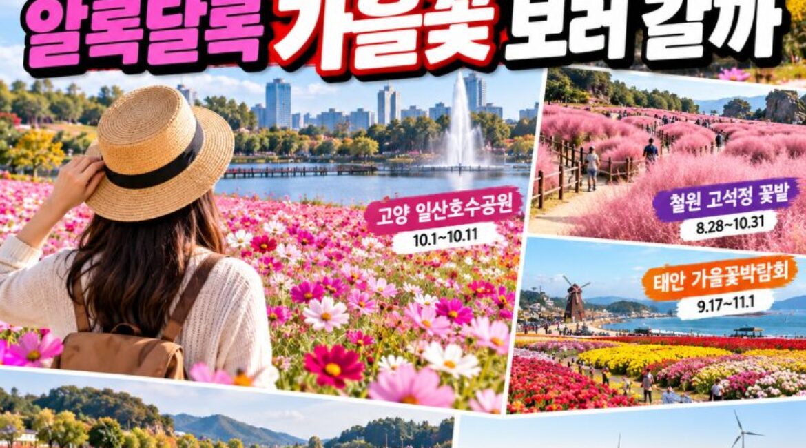 2026 한글날 연휴, 전국 가을꽃 명소 5곳…교통·입장료·추천 여행코스 총정리