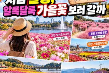 2026 한글날 연휴, 전국 가을꽃 명소 5곳…교통·입장료·추천 여행코스 총정리