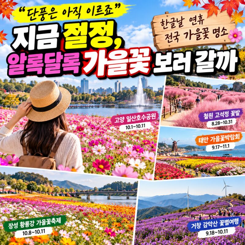 2026 한글날 연휴, 전국 가을꽃 명소 5곳…교통·입장료·추천 여행코스 총정리