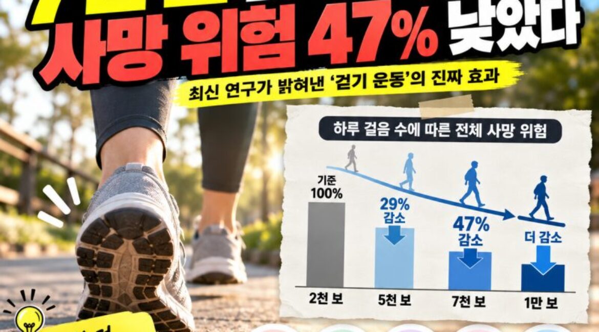 하루 1만 보 안 걸어도 된다? 7천 보 걸었더니 사망 위험 47% 낮았다…걷기 운동의 진실