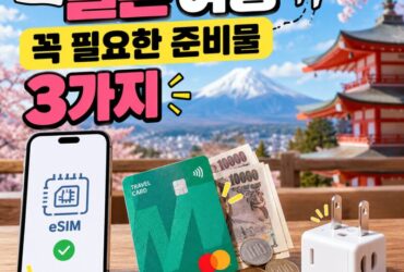 일본 여행 준비물 필수 3가지! eSIM·트래블카드·돼지코 플러그 완벽 정리