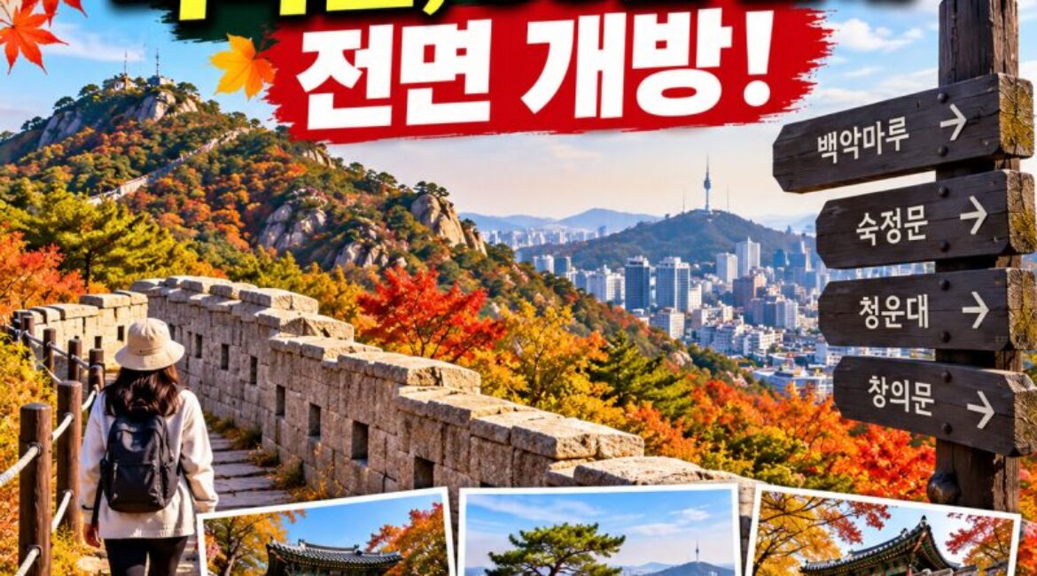 청와대 뒤 백악산, 58년 만에 전면 개방! 한양도성 따라 걷는 단풍 여행