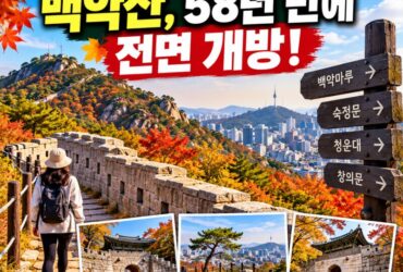 청와대 뒤 백악산, 58년 만에 전면 개방! 한양도성 따라 걷는 단풍 여행