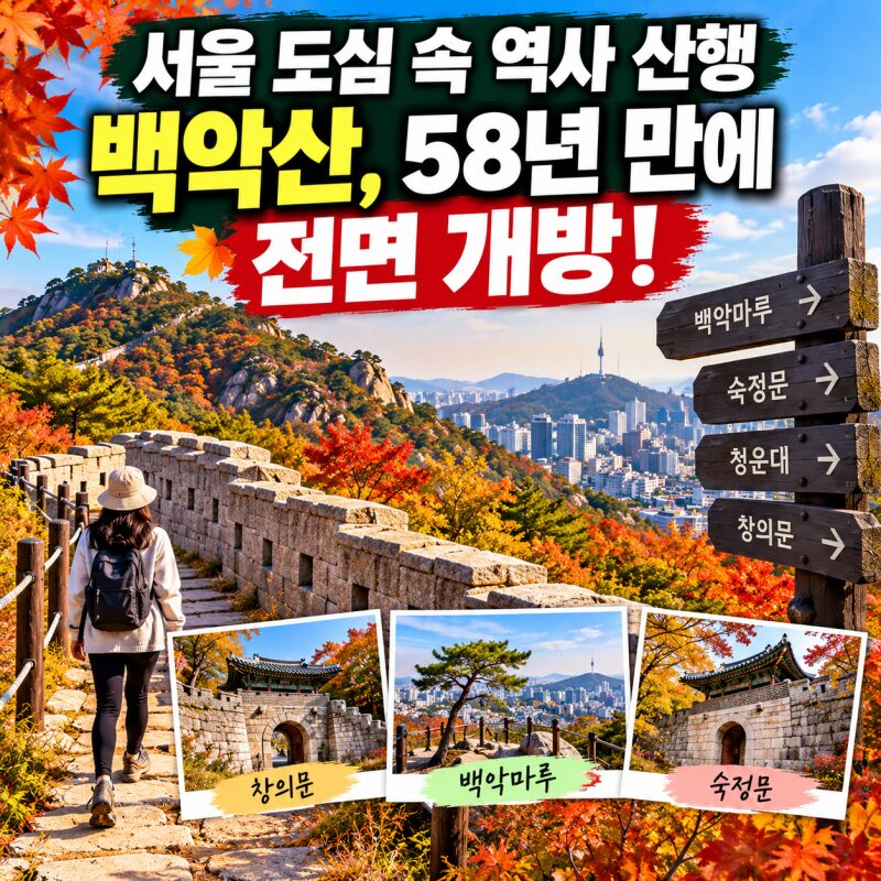 청와대 뒤 백악산, 58년 만에 전면 개방! 한양도성 따라 걷는 단풍 여행