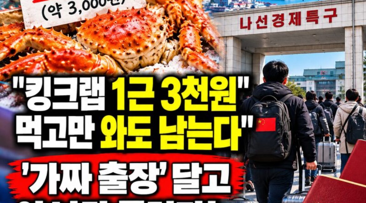 킹크랩 1근에 3천 원? 중국인들이 몰린다는 북한 나선 여행…4박 5일 일정과 비용 총정리