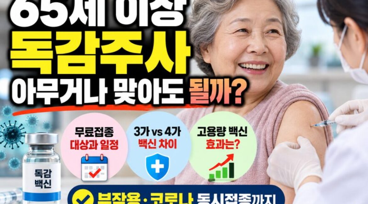 65세 이상 독감주사, 아무거나 맞아도 될까? 무료접종부터 백신 종류·효과까지 총정리