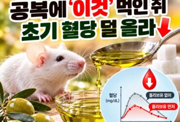 “먹는 순서만 바꿨는데 혈당이 달라졌다?” 공복에 올리브유 먼저 먹었더니…일본 연구진의 새로운 발견