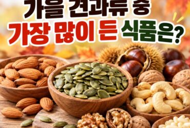 혈당 조절에 도움 되는 마그네슘! 가을 견과류 중 가장 많이 들어 있는 식품은?