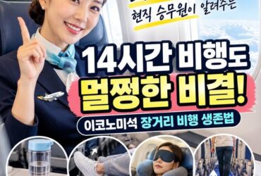 25년 차 승무원이 알려주는 장거리 비행 생존법! 14시간 이코노미석에서도 덜 붓고 덜 피곤한 10가지 방법
