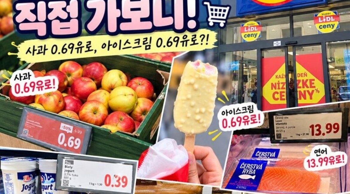 슬로바키아 브라티슬라바 물가 실화? 유럽 할인마트 리들(Lidl) 직접 가보니 사과 0.69유로, 아이스크림도 0.69유로!