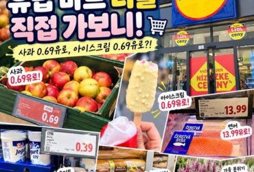 슬로바키아 브라티슬라바 물가 실화? 유럽 할인마트 리들(Lidl) 직접 가보니 사과 0.69유로, 아이스크림도 0.69유로!