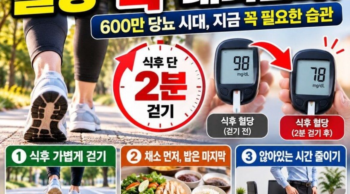 밥 먹고 딱 2분만 걸어도 혈당이 달라진다! 당뇨 600만 시대, 식후 혈당 잡는 가장 쉬운 습관 10가지