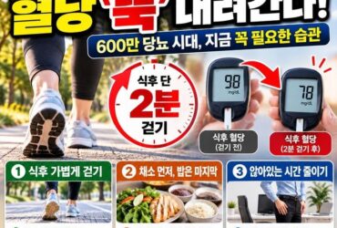 밥 먹고 딱 2분만 걸어도 혈당이 달라진다! 당뇨 600만 시대, 식후 혈당 잡는 가장 쉬운 습관 10가지