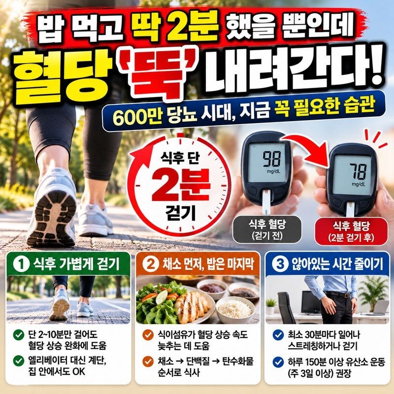 밥 먹고 딱 2분만 걸어도 혈당이 달라진다! 당뇨 600만 시대, 식후 혈당 잡는 가장 쉬운 습관 10가지