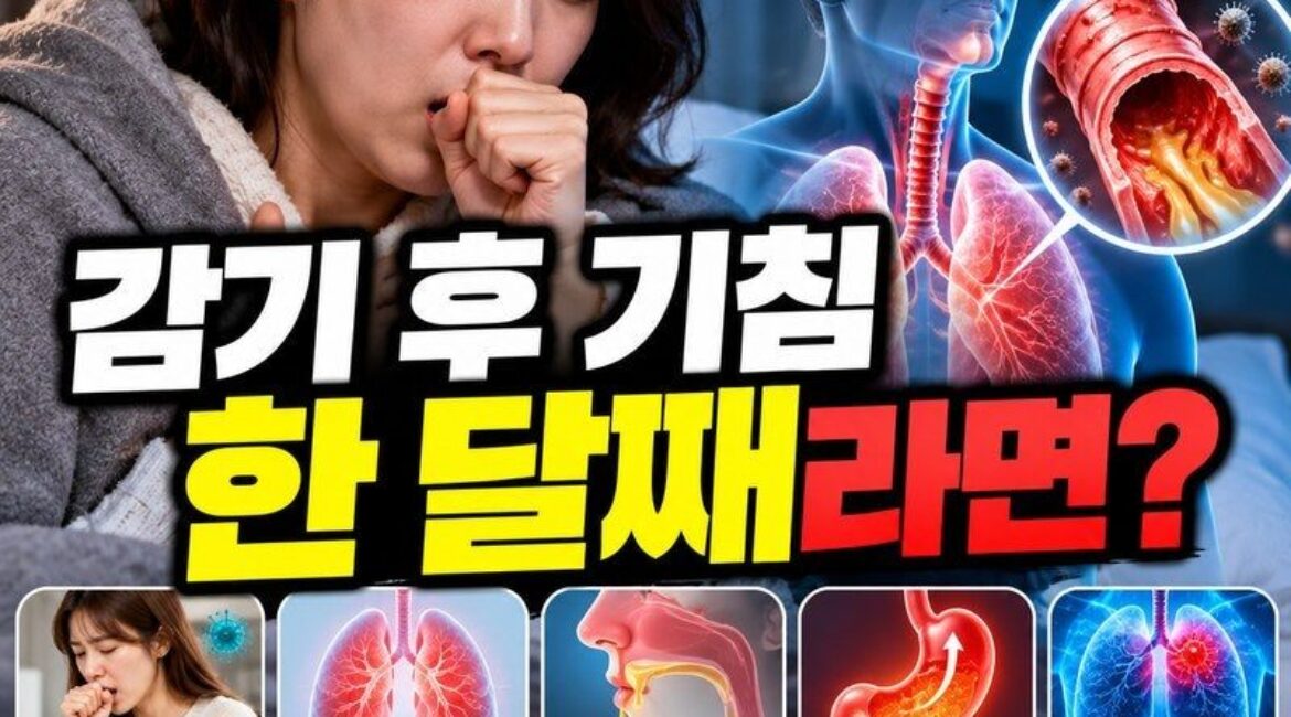 감기는 나았는데 기침만 한 달째? 그냥 넘기면 안 되는 5가지 원인과 병원 가야 할 위험 신호
